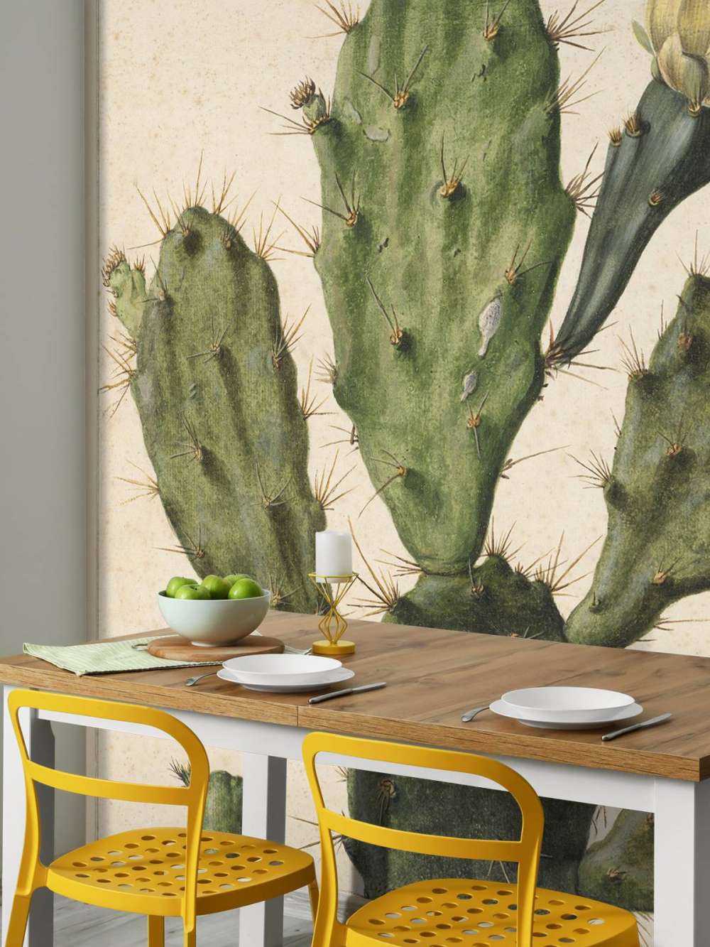 Flowering fig cactus