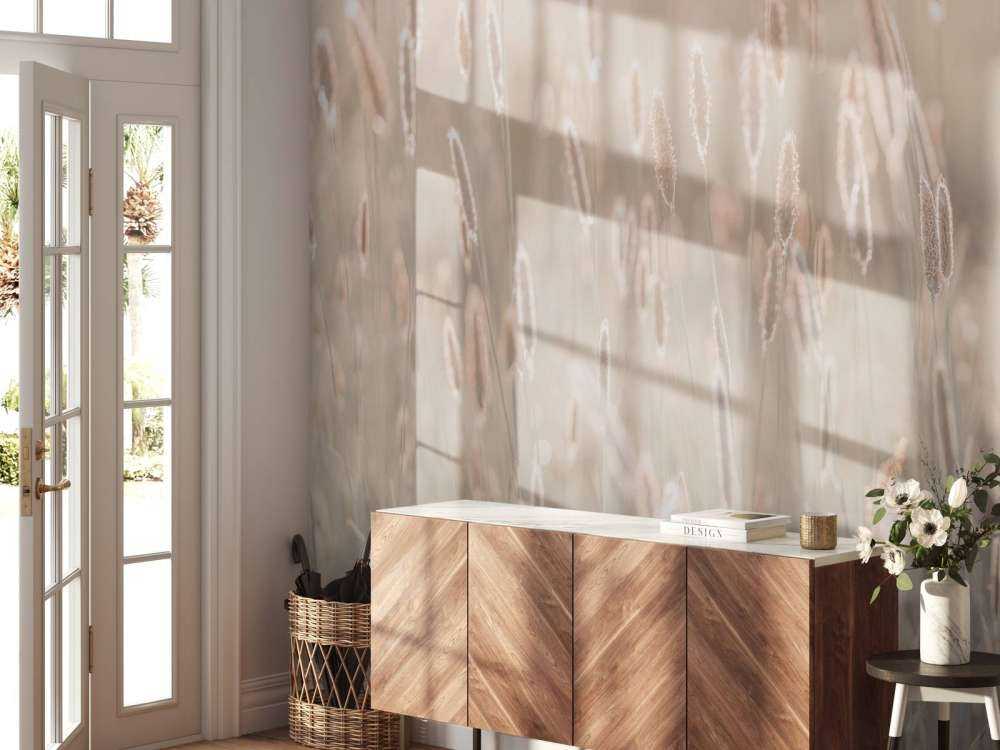 Meadow during the sunset