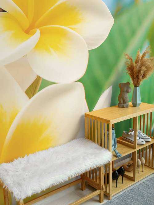 White Yellow Plumeria Flower