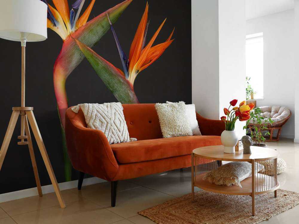 Bird of Paradise flowers