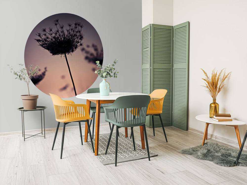 Silhouette of flowers