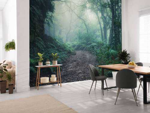Green foggy forest