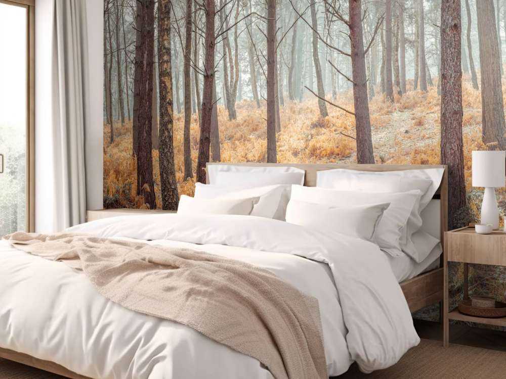 Forest during autumn