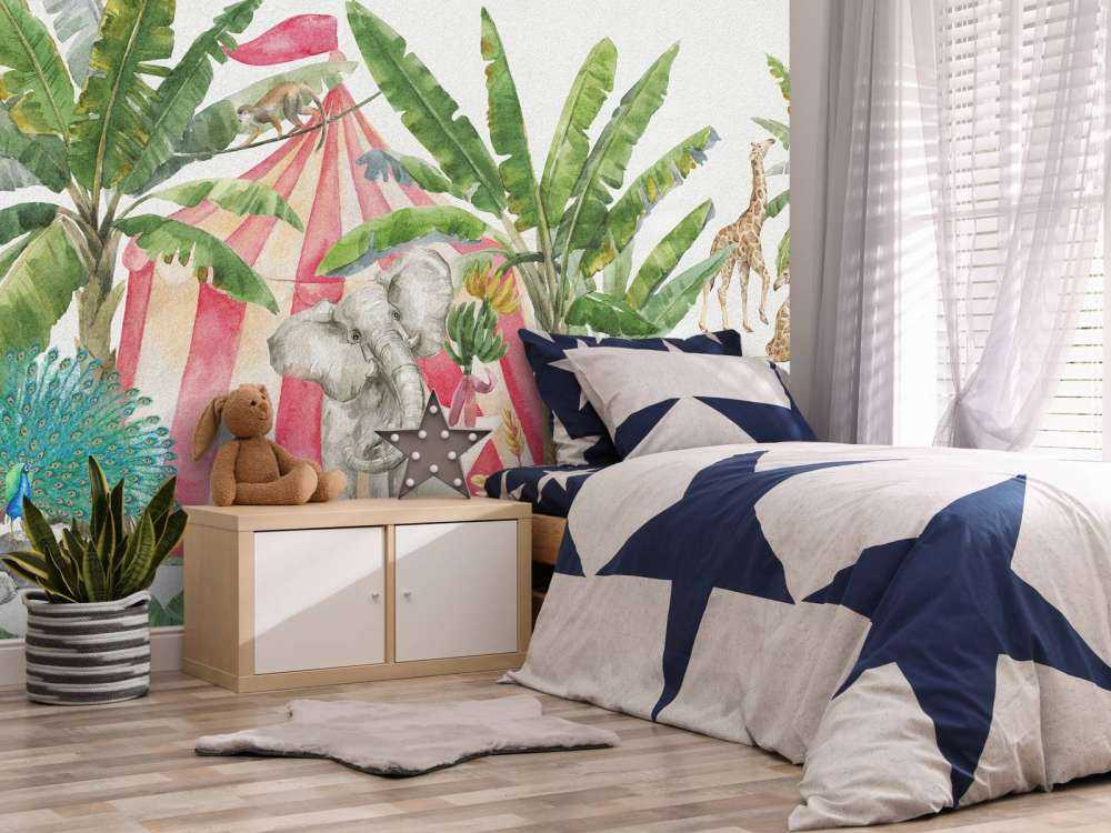 Circus in the jungle