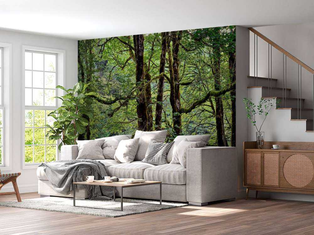 Trees with moss 