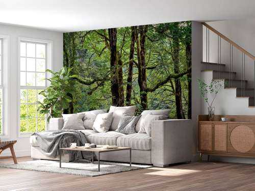 Trees with moss 