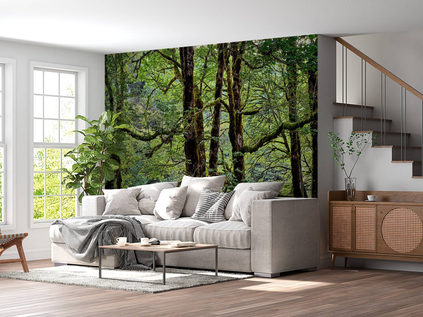 Trees with moss 