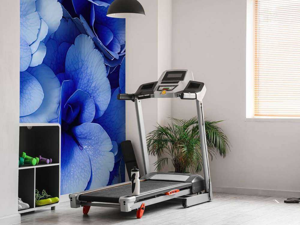 Close-up of blue hydrangeas