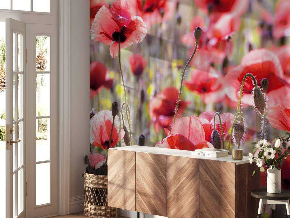 Poppies with vintage look