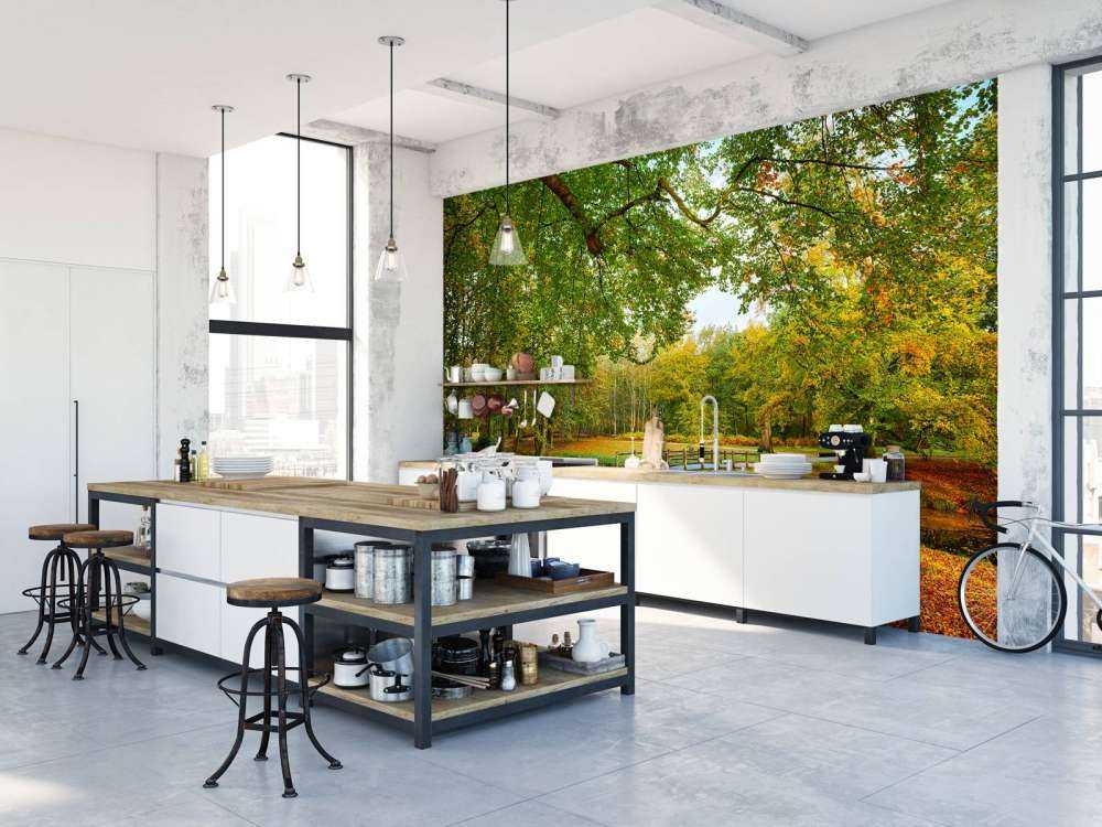 Bridge in the large forest