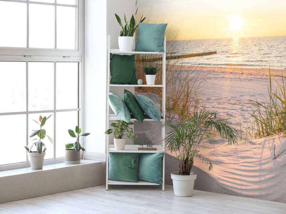 Dune beach with sunset