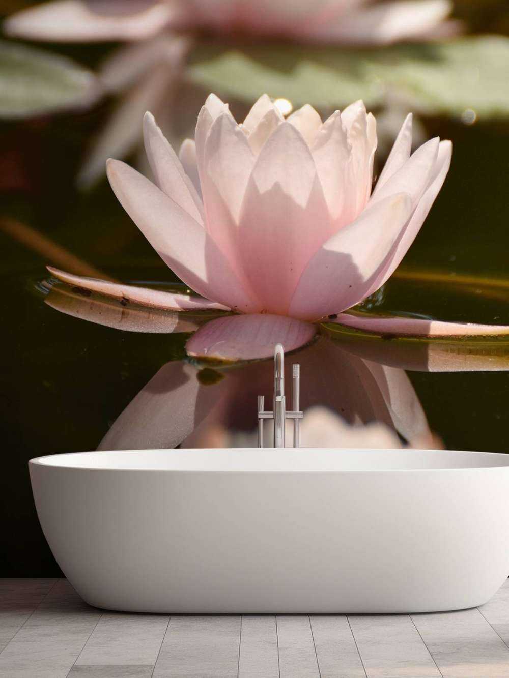 Lotus flower in water
