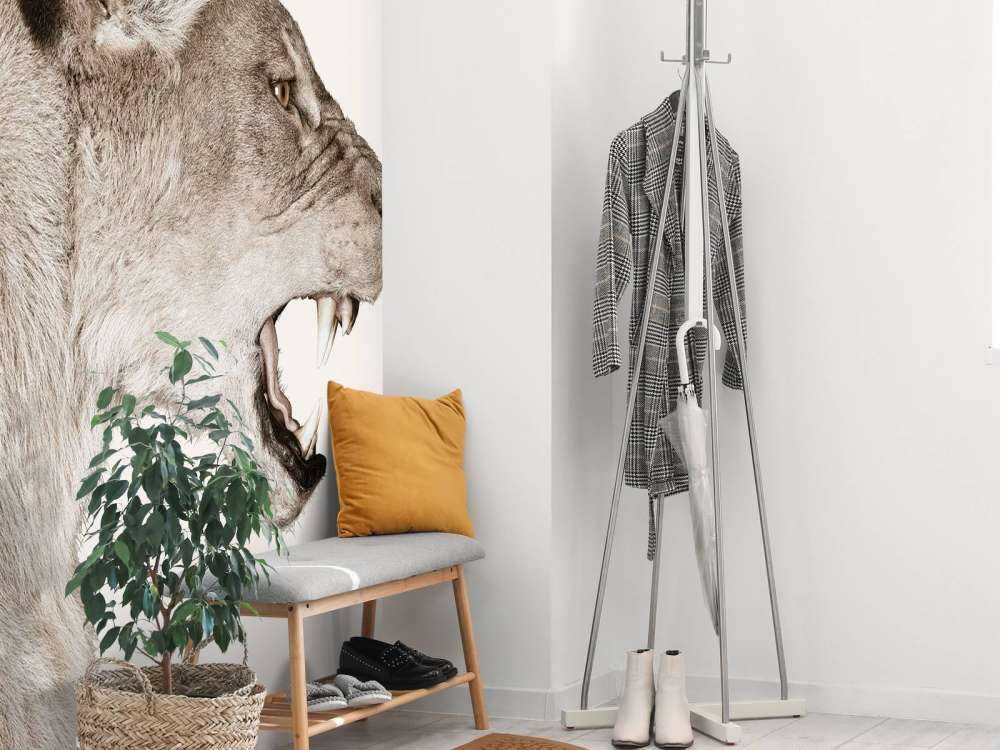 Lioness side view offwhite