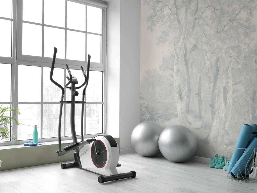 Forest Landscape Blue Panorama