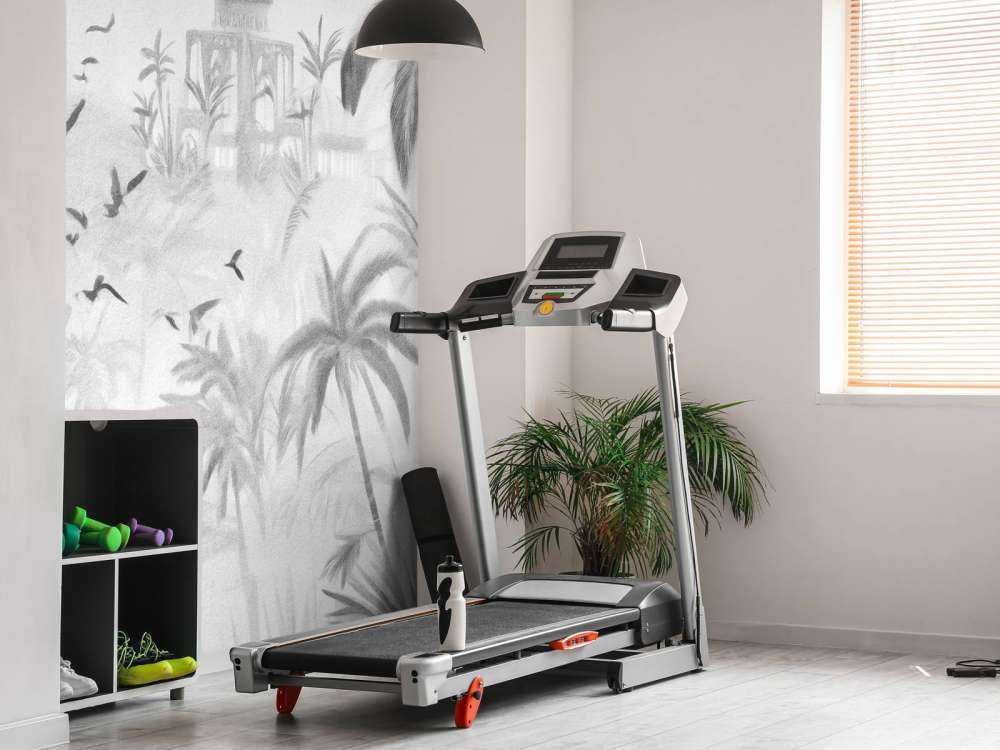 Oriental Garden at Dawn