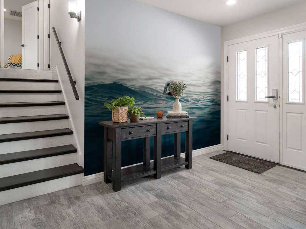 Seal off Danish coast