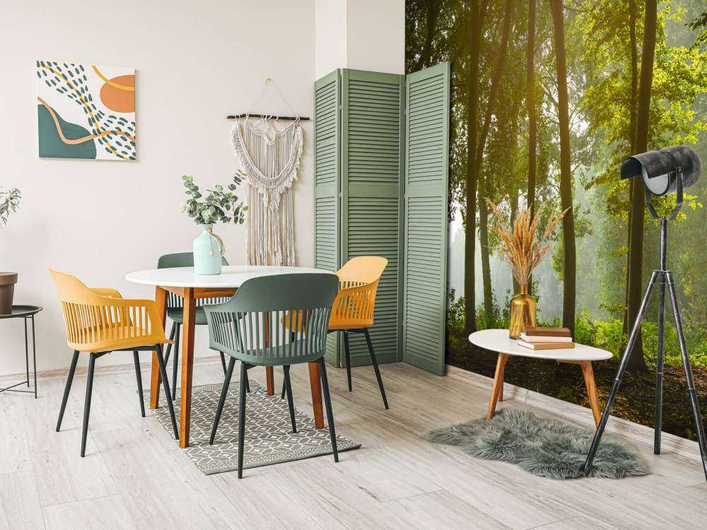 Forest in the morning sun