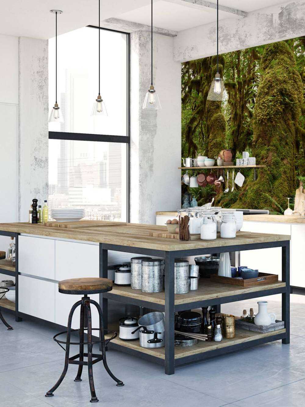 Trees in a rainforest