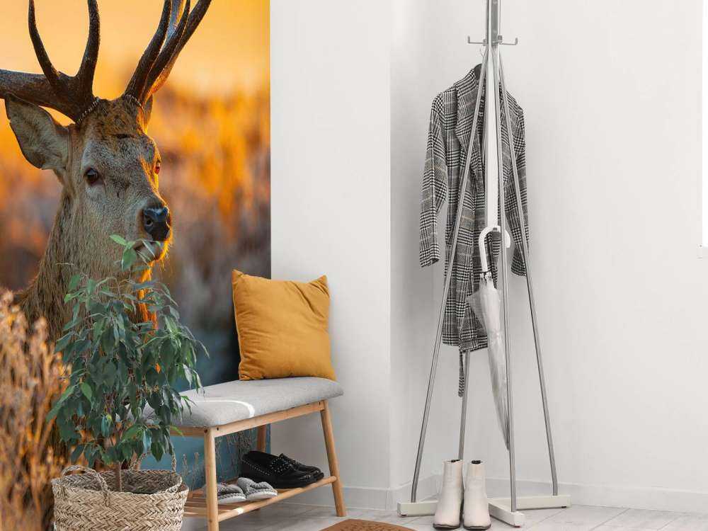 Deer in nature reserve