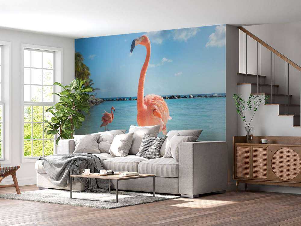 Flamingo on the beach