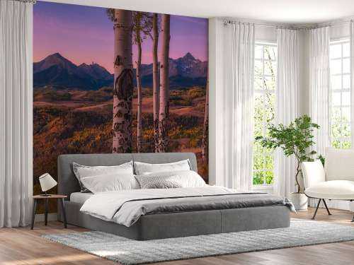 Aspen Frames
