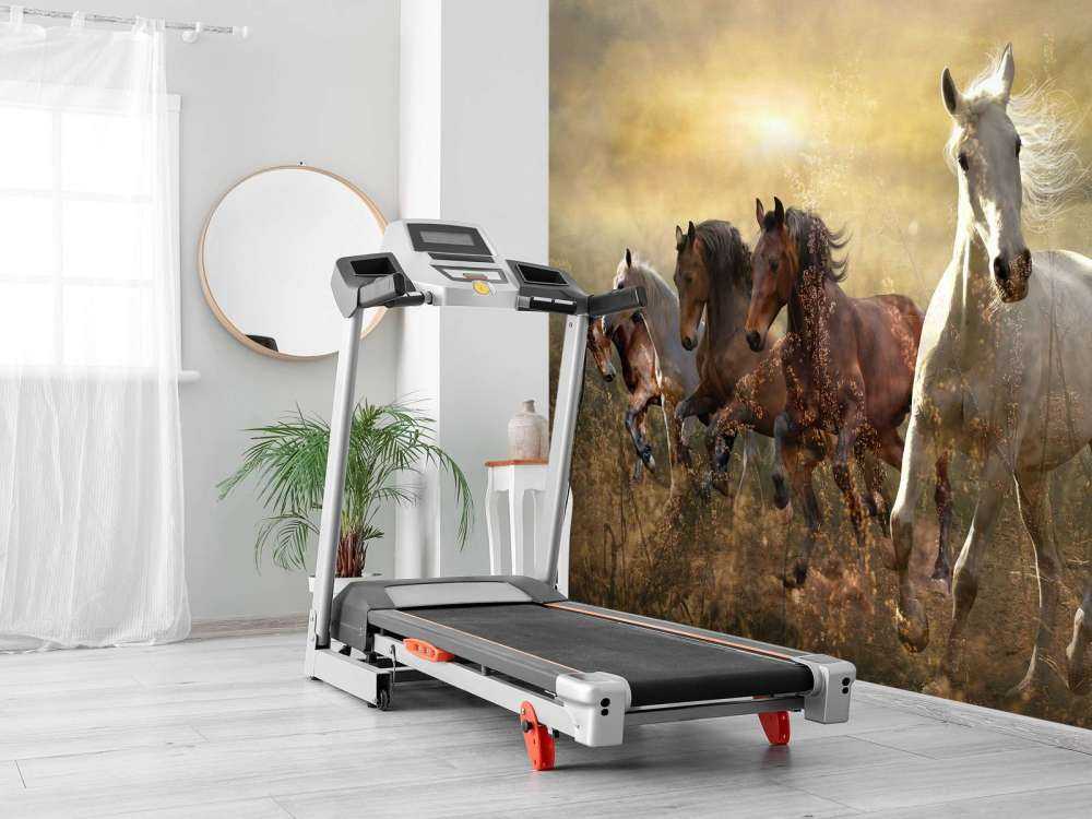 Galloping horses at sunset