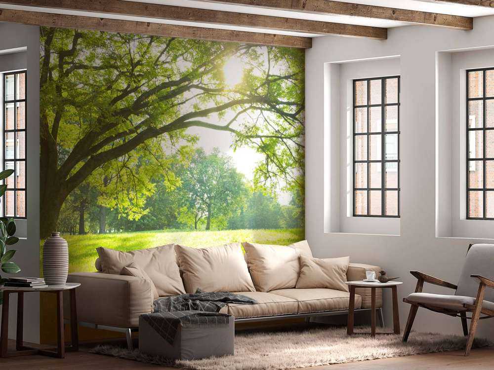 Beautiful tree with green grass