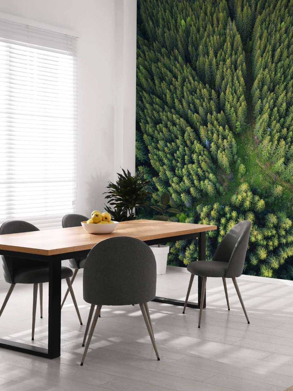 Pine forest from above