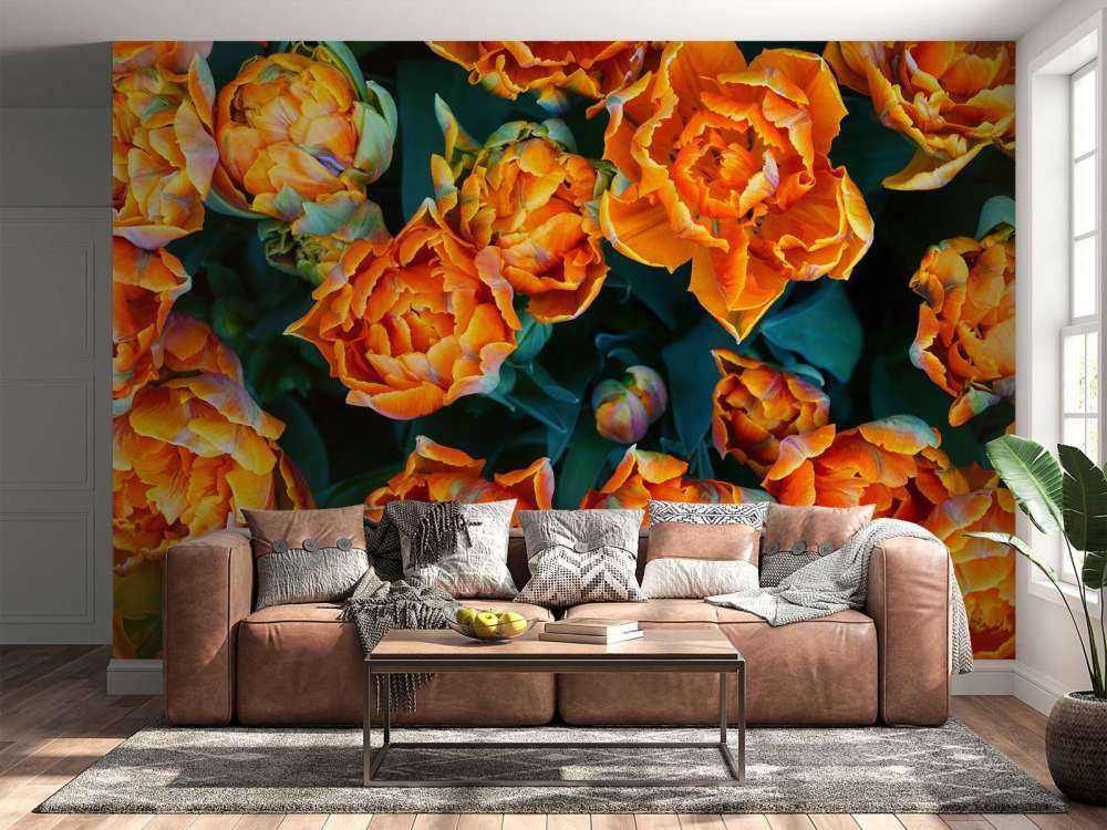 Close-up orange tulips