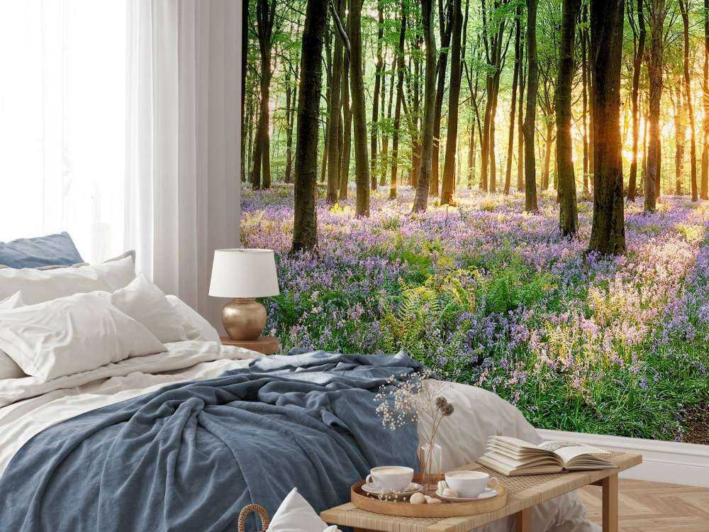 Forest path at sunrise