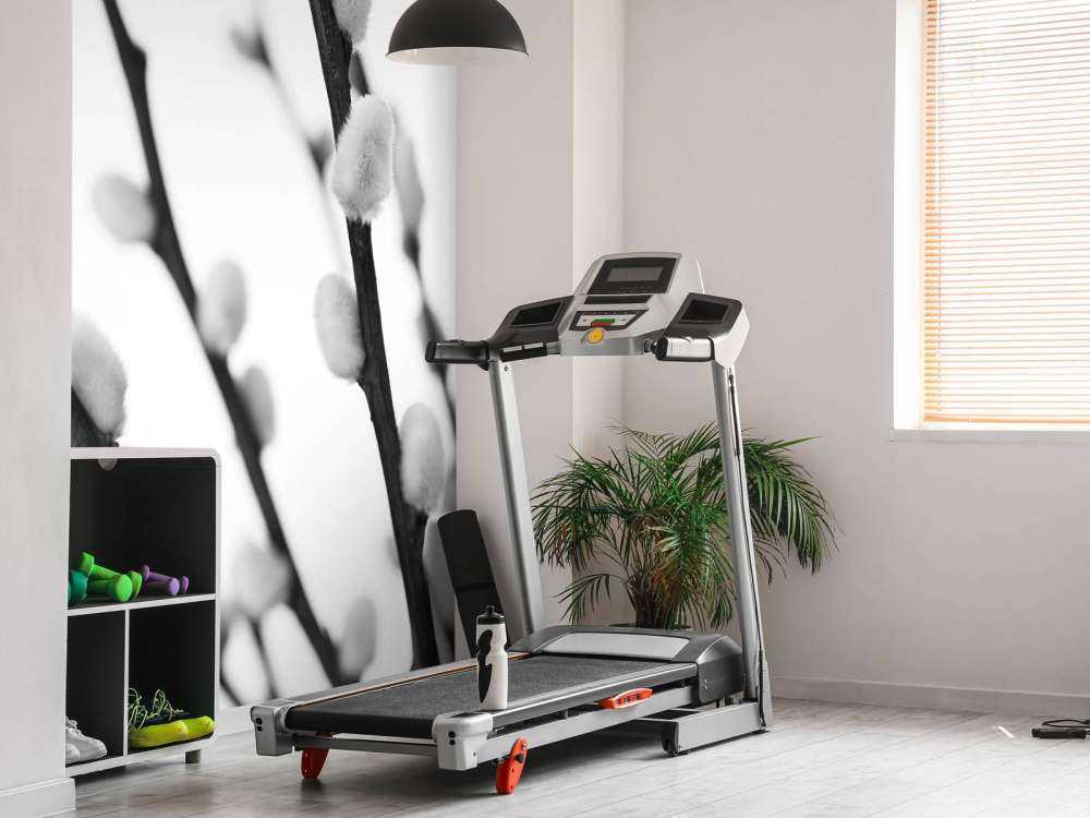 Forest willow in black and white