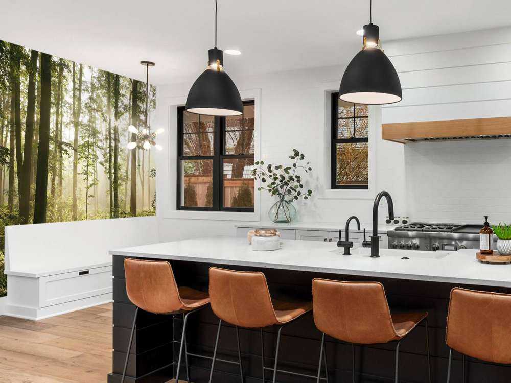 Foggy deciduous forest