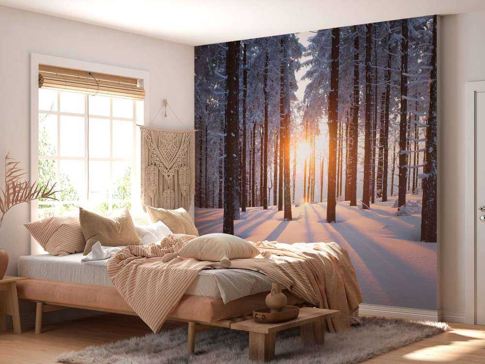 Sunset in a winter forest