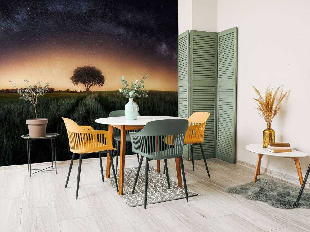 Milky way over lonely tree