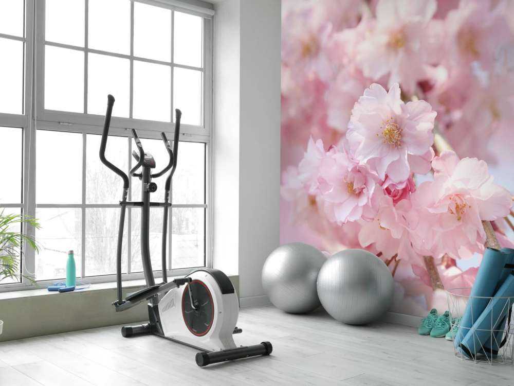 Close-up pink blossoms