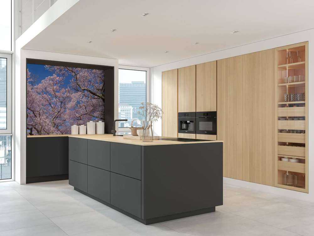 Blossoms with blue sky