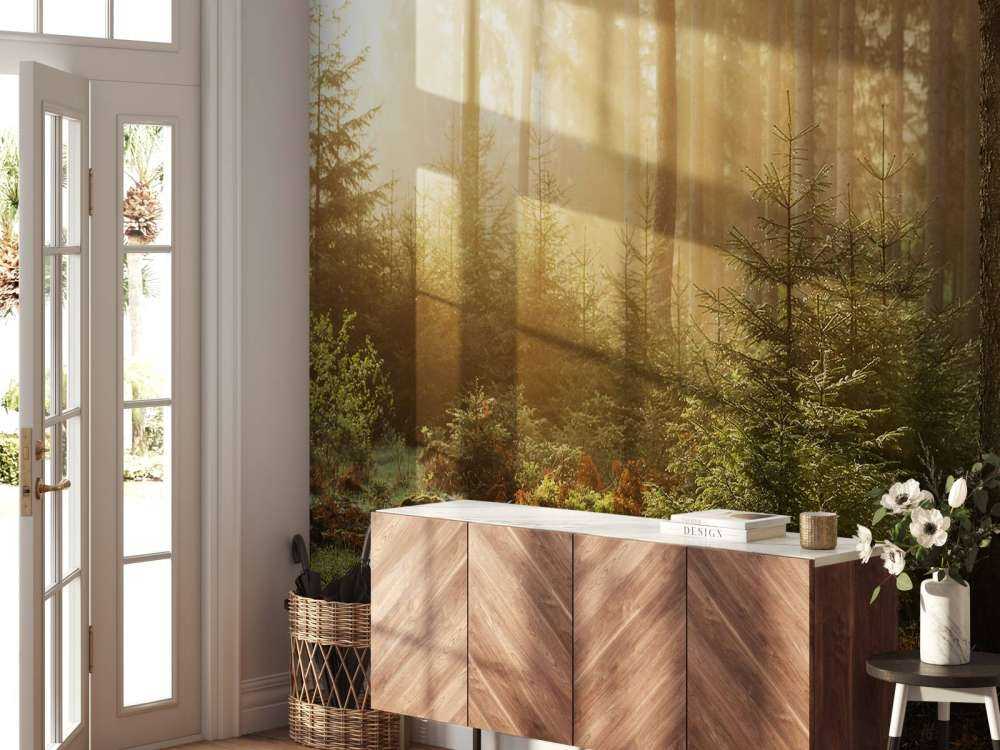 Sunbeams through forest