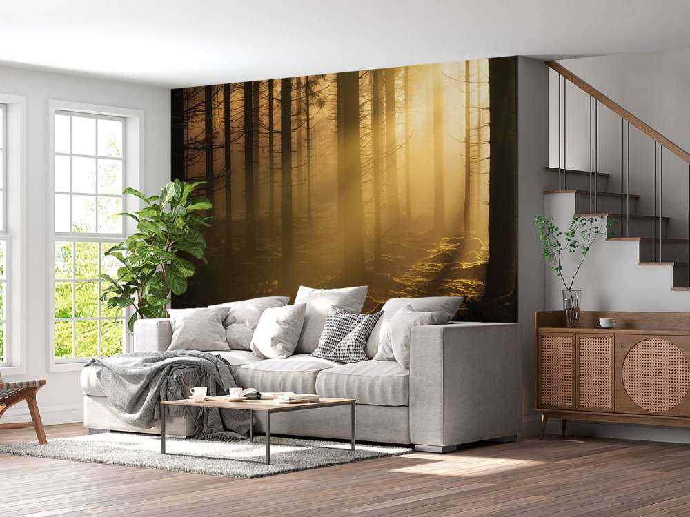 Dark autumn forest
