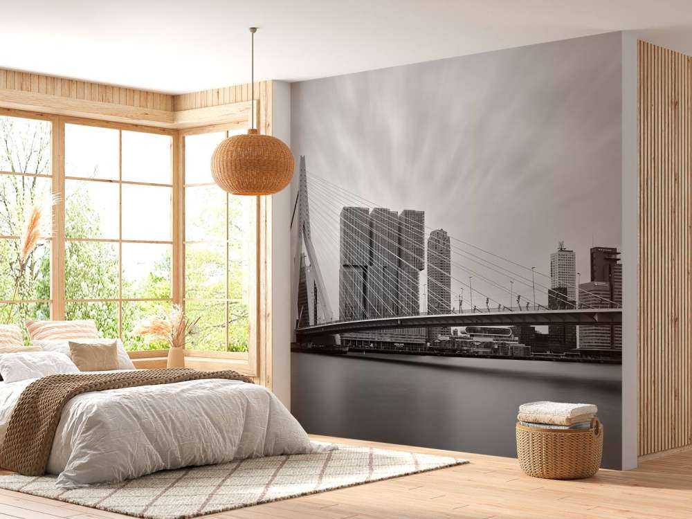 Erasmus bridge black and white