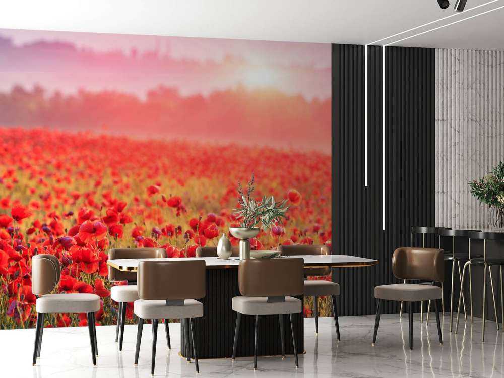 Field full of poppies
