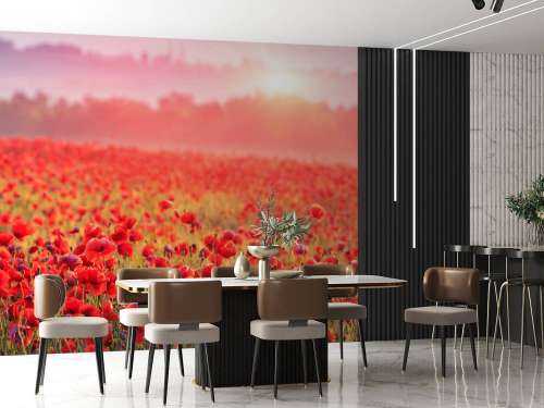 Field full of poppies