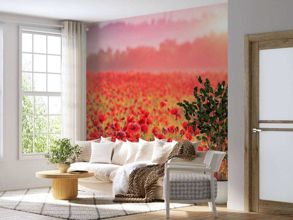 Field full of poppies