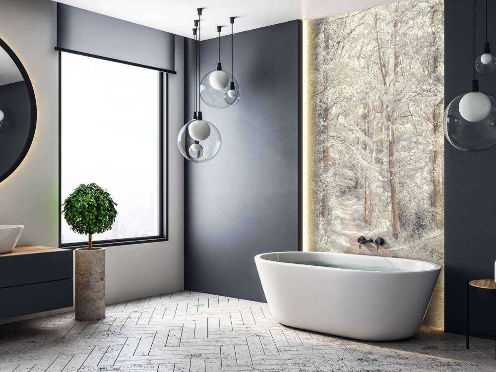 A path through a green forest