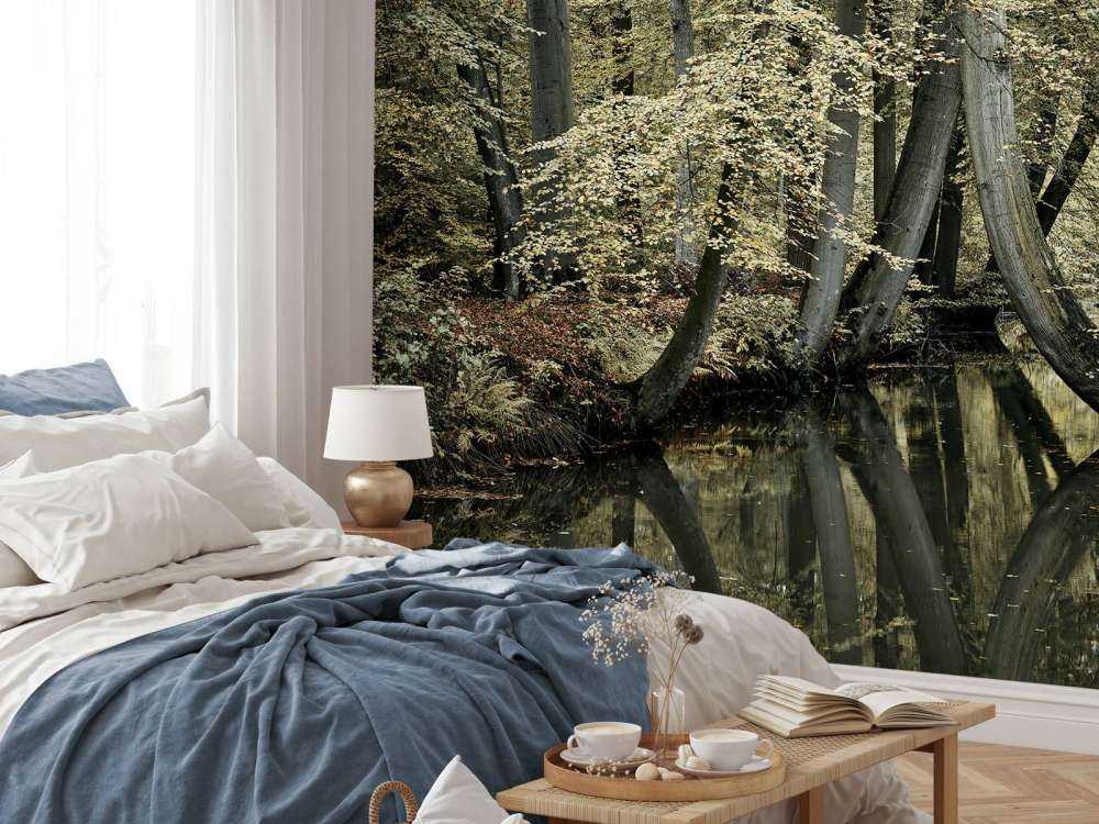 Stream with hanging trees