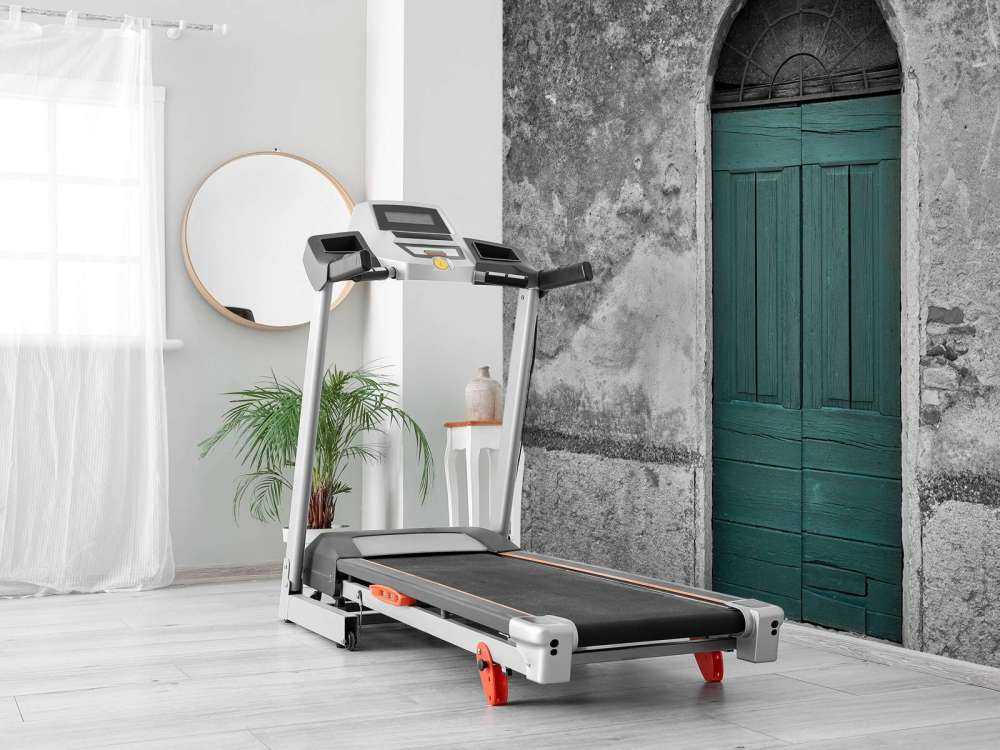 Green door in old wall