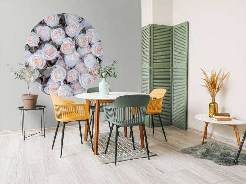 Light colored roses
