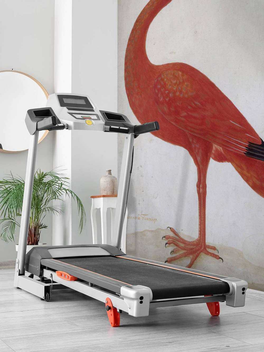 Red Ibis with an egg