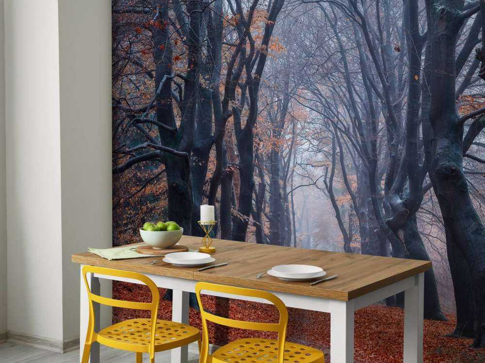 Forest path with leaves