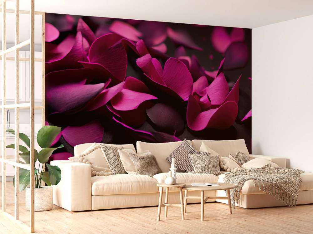 Dark pink hydrangeas