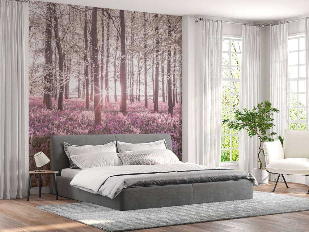 Forest in spring